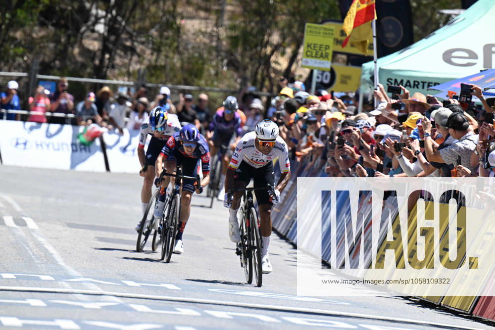 Tour Down Under; Tappa 05 Mclaren Vale - Willunga Hill; 2025, Uae Team Emirates - Xrg; Narvaez, Jhonnatan; Willunga Hill;
