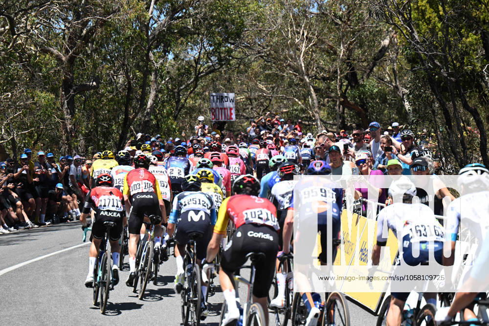 Tour Down Under; Tappa 05 Mclaren Vale - Willunga Hill; Willunga Hill;