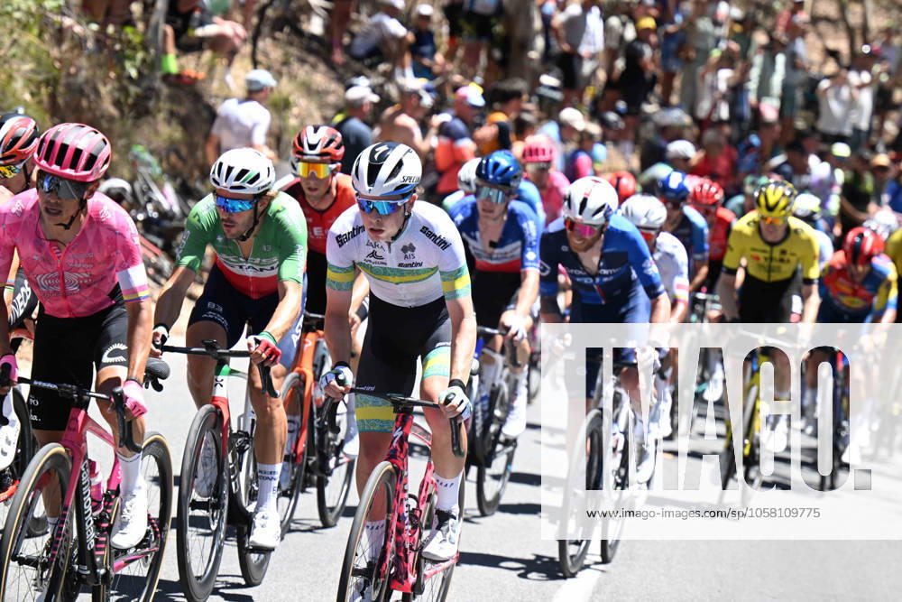 Tour Down Under; Tappa 05 Mclaren Vale - Willunga Hill; 2025, Australia; Willunga Hill;