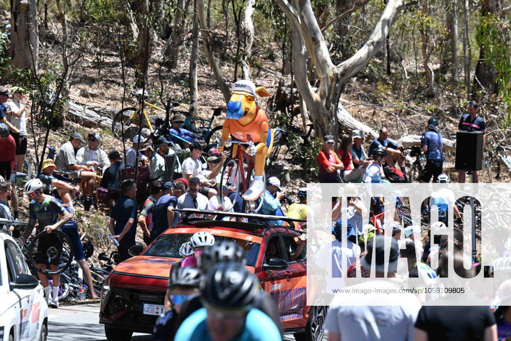 Tour Down Under; Tappa 05 Mclaren Vale - Willunga Hill; Willunga Hill;