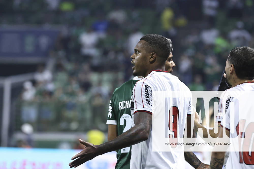 Match between Palmeiras and Botafogo SP for the Sao Paulo championship Sao paulo (sp), 20 02 2025 - paulistao palmeiras vs botagogo sp alexandre de jesus of botafogo sp scores and celebrates his goal in a match between palmeiras vs botafogo sp, valid for the 11th round of the 2025 paulista football championship, on the night of this tuesday, february 20, 2025, at allianz parque, in sao paulo-sp (Foto: Leco Viana Thenews2 imago images) SPO