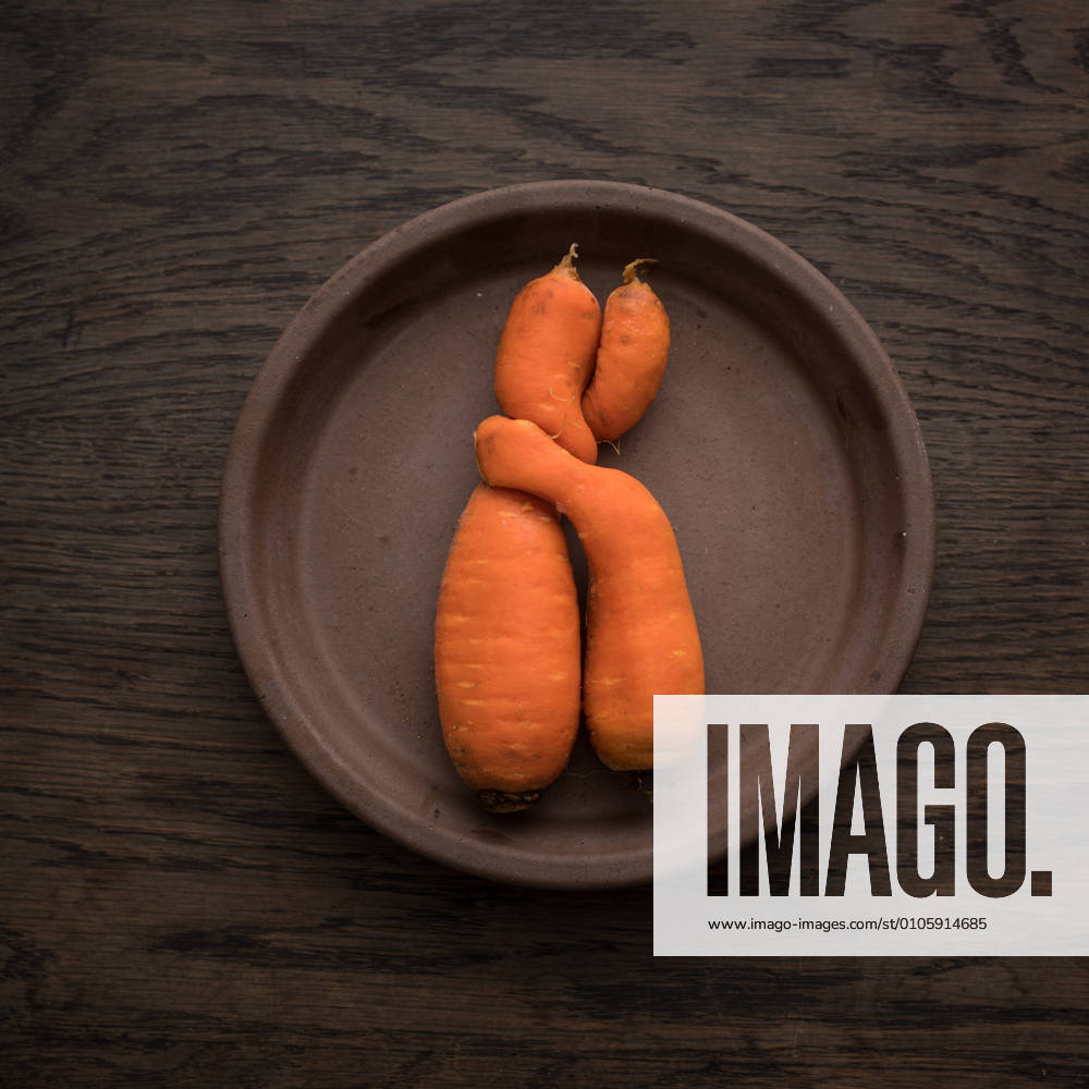 Two carrots grown together lie on earth for a photo illustration Carrot hug