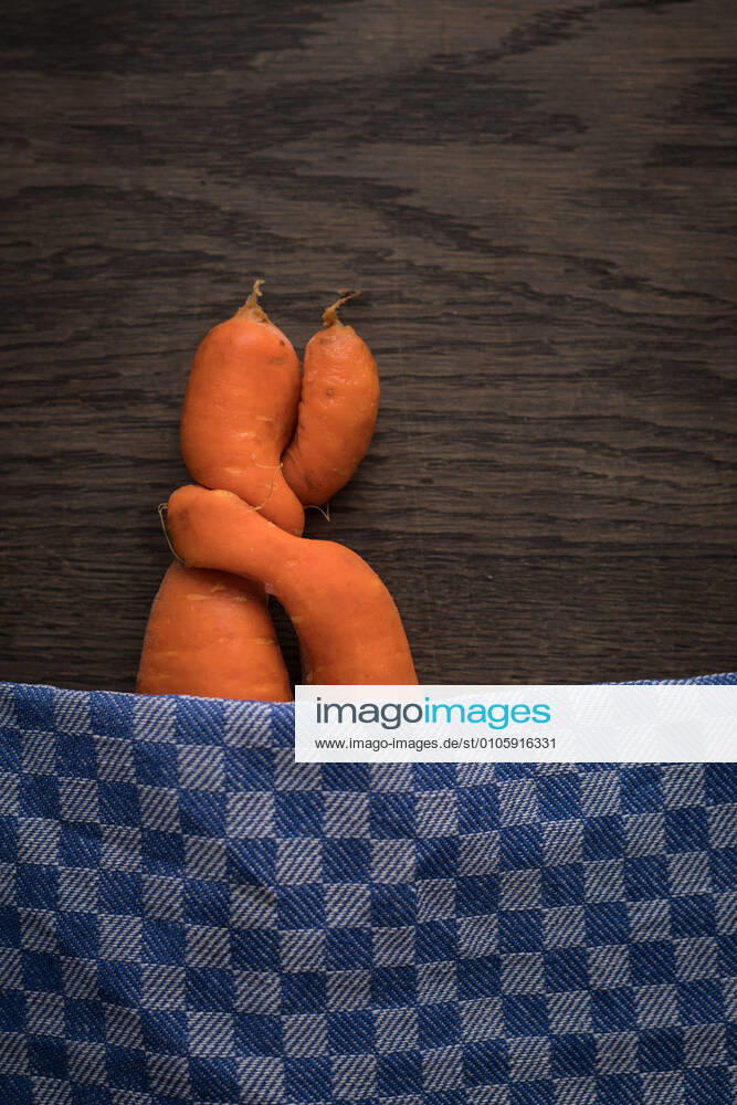 Two carrots grown together lie on earth for a photo illustration Carrot hug