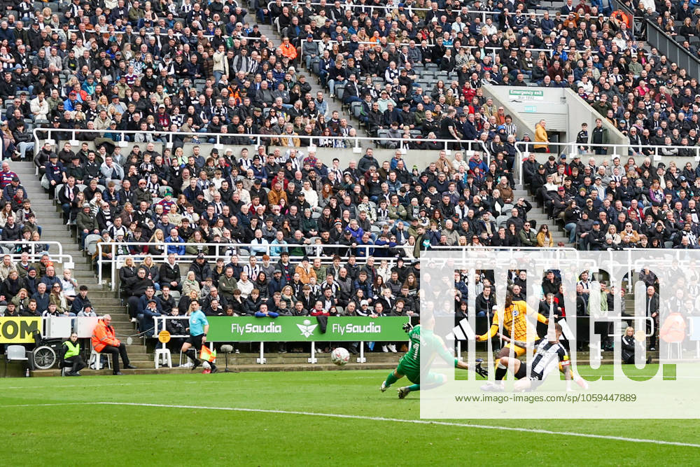 Newcastle United v Brighton and Hove Albion FA Cup 02 03 2025. 5th Round GOAL- Yankuba Minteh of Brighton & Hove Albion scores a goal 1-1 during the FA Cup match between Newcastle United and Brighton and Hove Albion at St. James s Park, Newcastle, England on 2 March 2025. Newcastle St. James s Park Tyne and Wear England Editorial use only DataCo restrictions apply See www.football-dataco.com ,
