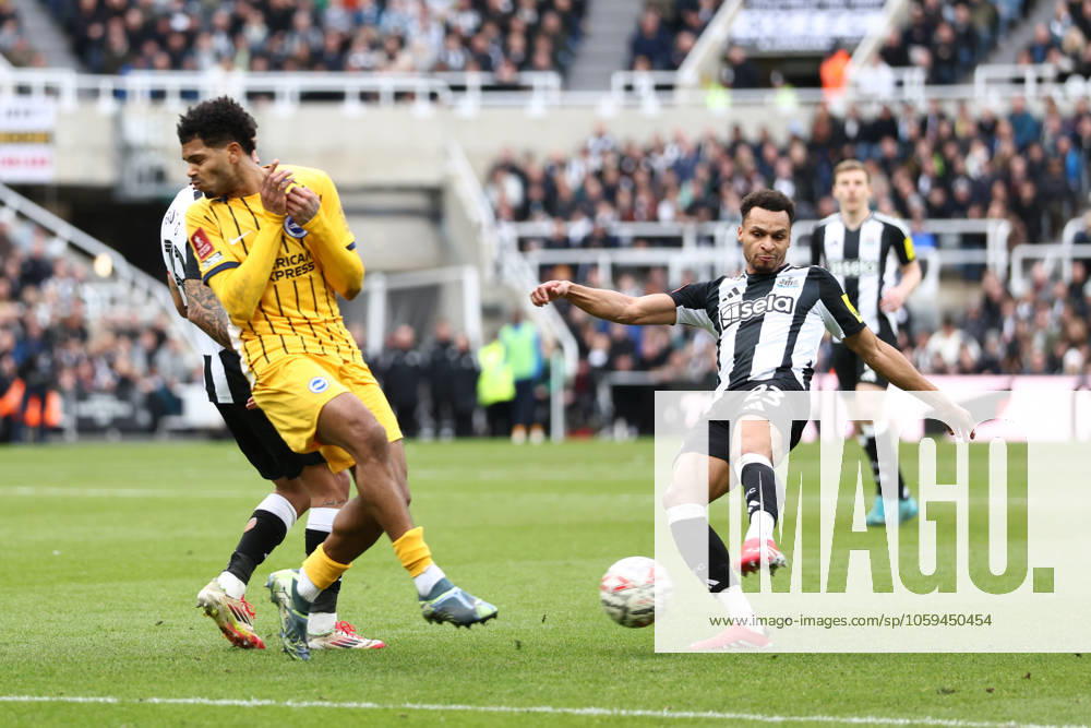 Newcastle United v Brighton and Hove Albion FA Cup 02 03 2025. 5th Round Jacob Murphy of Newcastle United shoots at goal during the FA Cup match between Newcastle United and Brighton and Hove Albion at St. James s Park, Newcastle, England on 2 March 2025. Newcastle St. James s Park Tyne and Wear England Editorial use only DataCo restrictions apply See www.football-dataco.com ,
