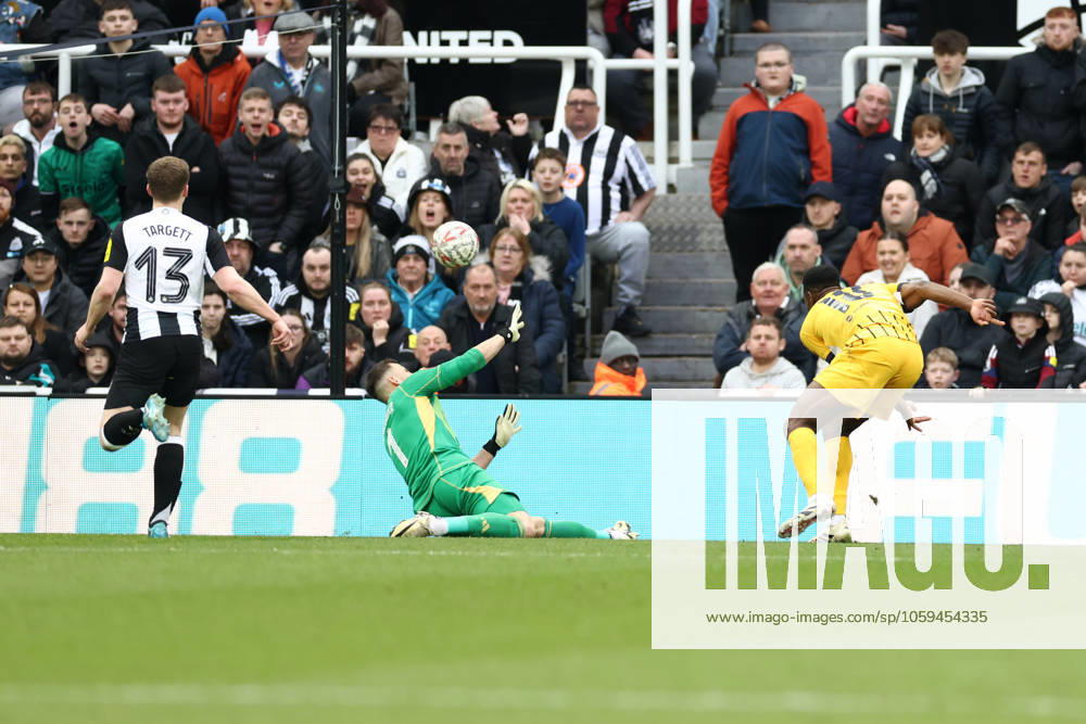 Newcastle United v Brighton and Hove Albion FA Cup 02 03 2025. 5th Round Goal - Danny Welbeck of Brighton & Hove Albion scores a goal and celebrates 1-2 during the FA Cup match between Newcastle United and Brighton and Hove Albion at St. James s Park, Newcastle, England on 2 March 2025. Newcastle St. James s Park Tyne and Wear England Editorial use only DataCo restrictions apply See www.football-dataco.com ,