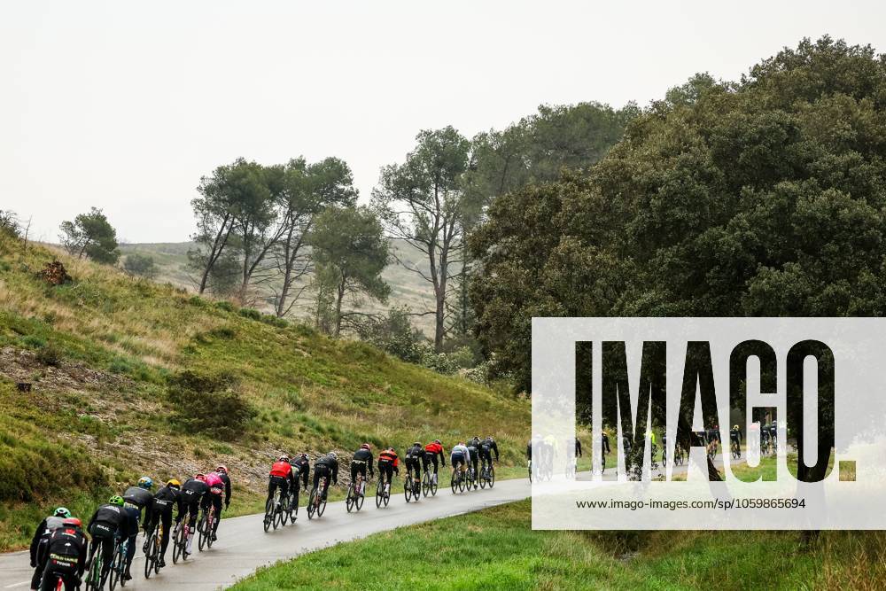 The pack of riders pictured in action during stage six of the 83th edition of the Paris-Nice cycling race, 209,8 km from Saint-Julien-en-Saint-Alban to Berre l Etang, France, Friday 14 March 2025. DAVIDxPINTENS x114935672x