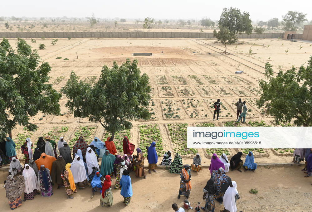 Projekt Armutsbekaempfung und Anpassung an den Klimawandel, Gemuesegarten mit Bewässerung mit Solar Panel für Wasserpumpe Maradi Niger