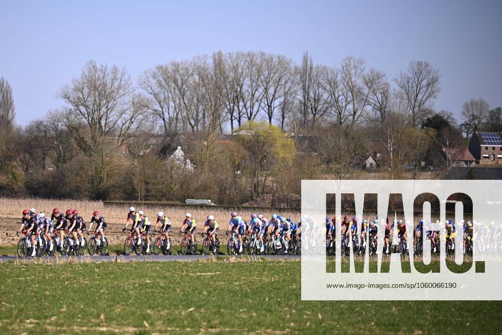 Danilith Nokere Koerse 2025 cycling race NOKERE, BELGIUM - MARCH 19 : illustration picture peloton during the Men Elite UCI 1.Pro 78th Danilith Nokere Koerse cycling race with start in Deinze and finish in Nokere (188,2 km) on March 19, 2025 in Nokere, Belgium, 19 03 2025 ( Motordriver Rodrique Verfaillie & Nokere Belgium