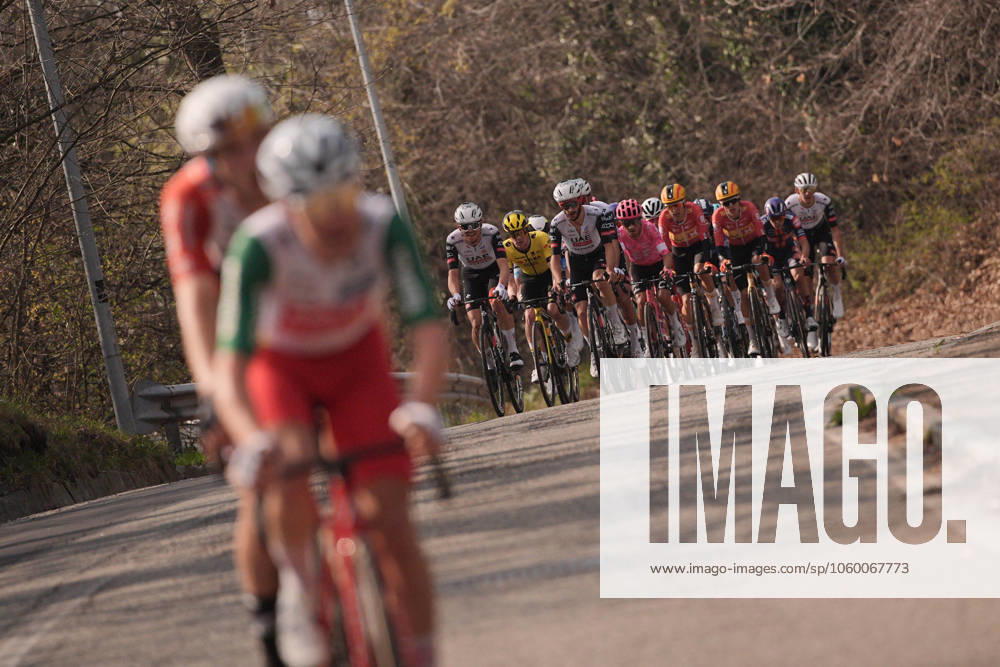 The pacjk rides during the men s elite race of the Milano-Torino one day cycling race (174km) from Rho to Torino (Superga) - North West Italy- Wednesday, March 19, 2025. - cycling .