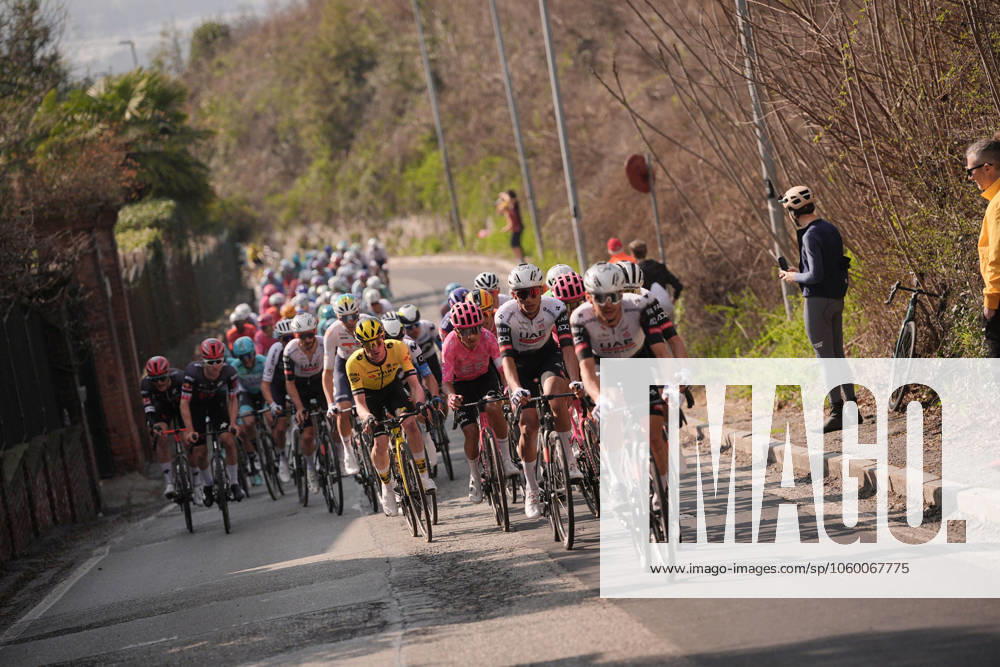 The pack rides during the men s elite race of the Milano-Torino one day cycling race (174km) from Rho to Torino (Superga) - North West Italy- Wednesday, March 19, 2025. - cycling .