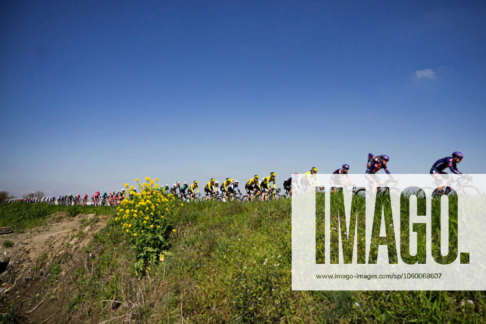 The pack rides during the men s elite race of the Milano-Torino one day cycling race (174km) from Rho to Torino (Superga) - North West Italy- Wednesday, March 19, 2025. - cycling .