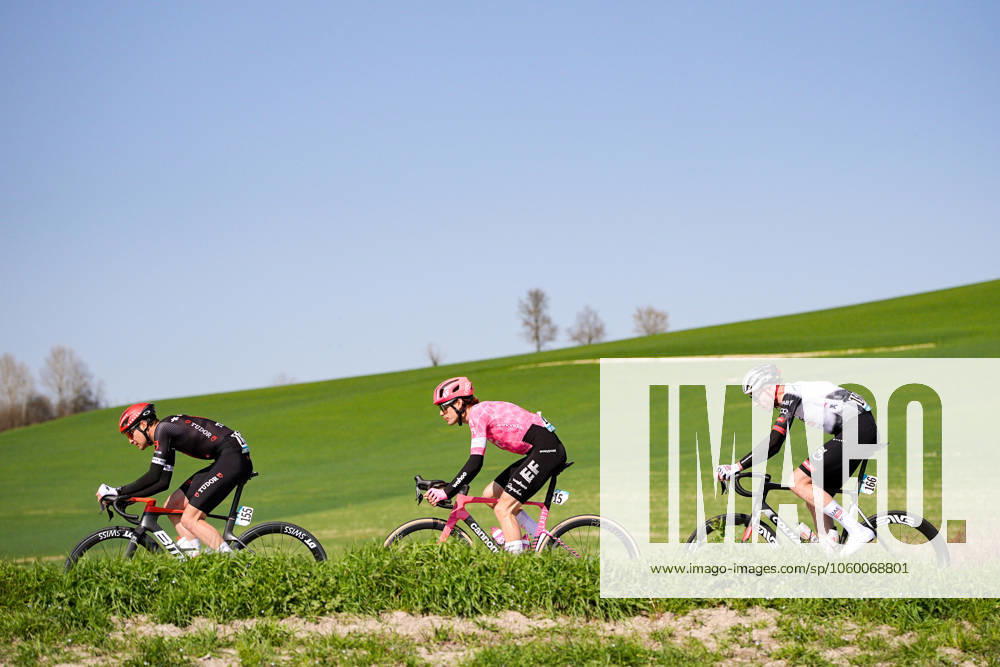 The pack rides during the men s elite race of the Milano-Torino one day cycling race (174km) from Rho to Torino (Superga) - North West Italy- Wednesday, March 19, 2025. - cycling .