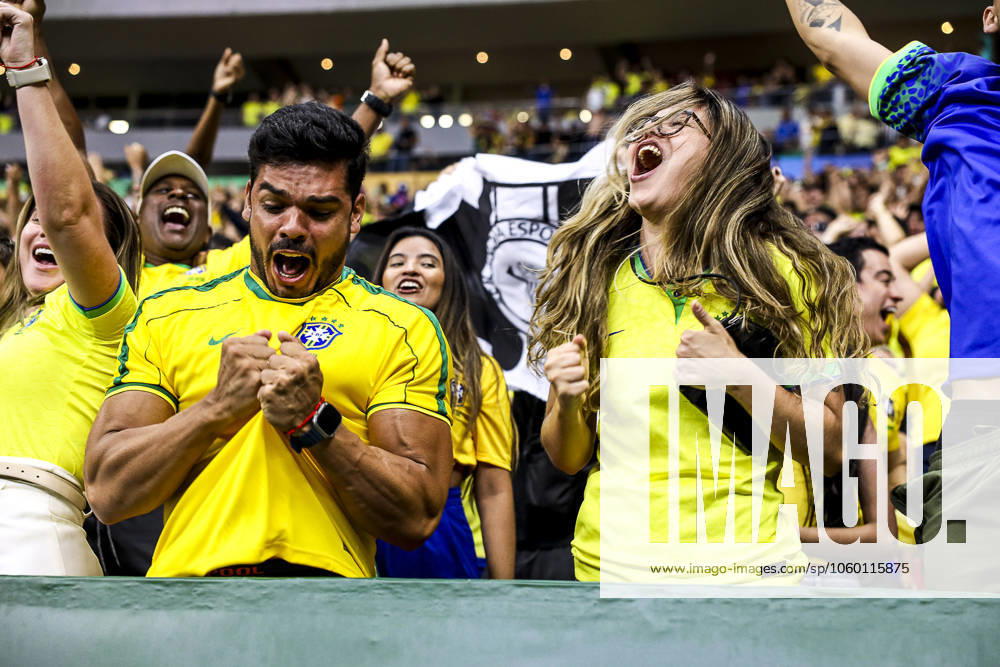 Match between brazil and colomba for the world cup qualifiers in brasilia Brasilia (df), 03 20 2025 - qualifiers 2026 world cup brazil colombia the fans celebrate the victory of the national team, Nationalteam in the match between the brazilian team and the colombian team, for the 13th round of the world cup qualifiers at the brb mane garrincha arena, this thursday night, march 20, 2025. (Foto: Pedro Paulo Diaz Thenews2 imago images)