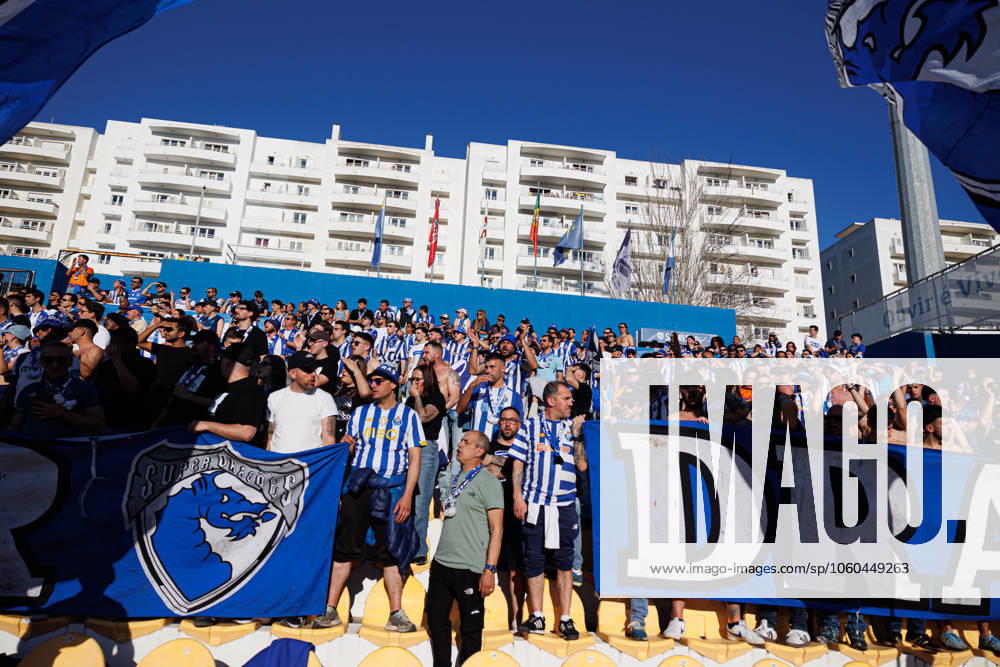 Fans of FC Porto seen during Liga Portugal game between teams of GD Estoril Praia and FC Porto at Estadio Antonio Coimbra da Mota (Maciej Rogowski) Estoril Estadio Antonio Coimbra da Mota Portugal
