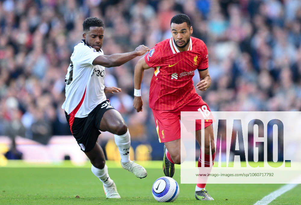 Football - 2024 2025 Premier League - Fulham vs Liverpool - Craven Cottage - Sunday 6th April 2025. Liverpool s Cody Gakpo holds off the challenge from Fulhams Ryan Sessegnon. COLORSPORT Ashley Western