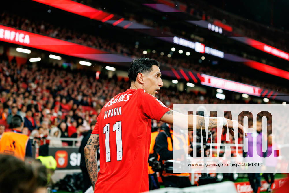 Angel Di Maria seen during Liga Portugal game between teams of SL Benfica and SC Farense (Maciej Rogowski) Lisboa Estadio Da Luz Portugal