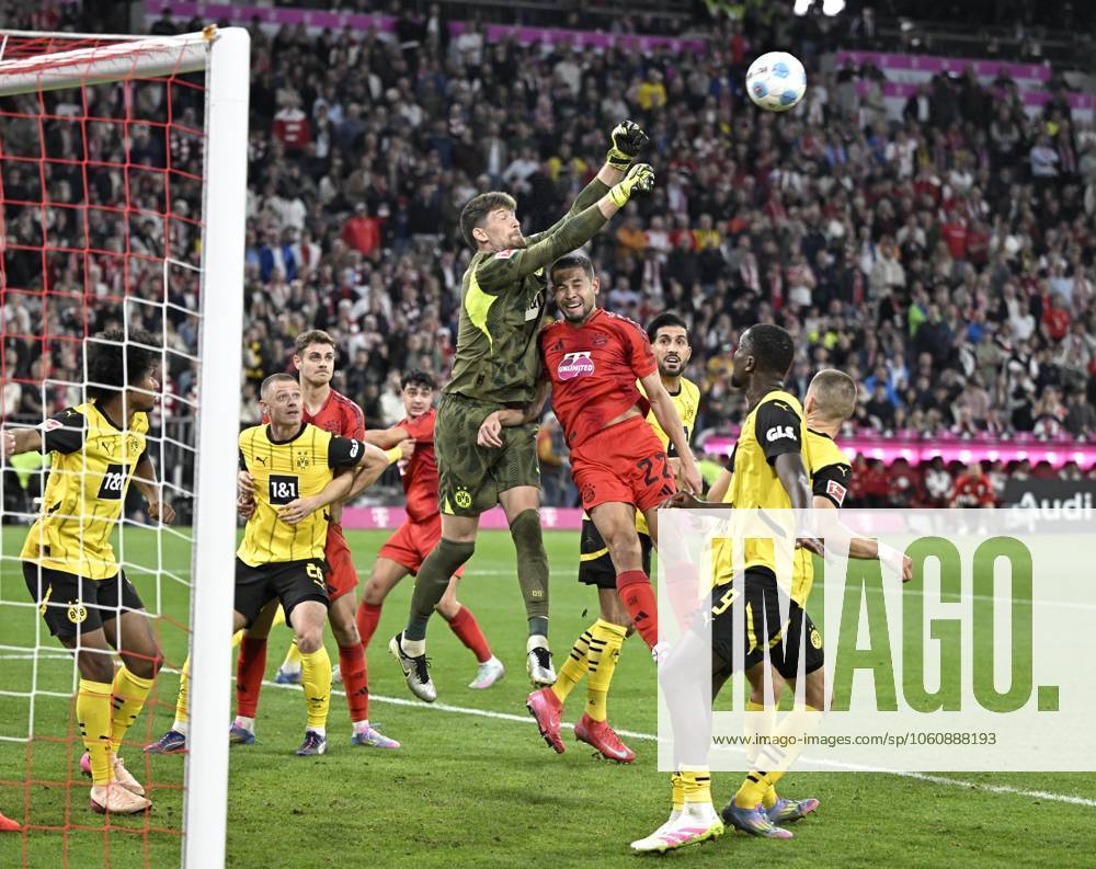 Soccer 1 Bundesliga 2024 2025, Matchday 29, FC Bayern Munich Borussia Dortmund, at Allianz Arena Munich Raphael Guerreiro FC Bayern Munich vs. goalkeeper Gregor Kobel Borussia Dortmund DFL and DFB regulations prohibit any use of photographs as image sequences and or quasi video