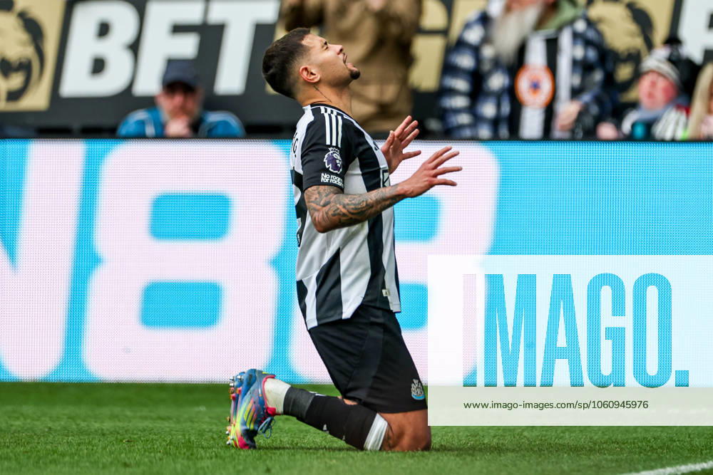 Premier League Newcastle United v Manchester United, ManU Bruno Guimaraes of Newcastle United celebrates his goal with teammates to make it 4-1 during the Premier League match Newcastle United vs Manchester United at St. James s Park, Newcastle, United Kingdom, 13th April 2025 (Photo by Mark Cosgrove News Images) Newcastle St. James s Park Tyne and Wear United Kingdom