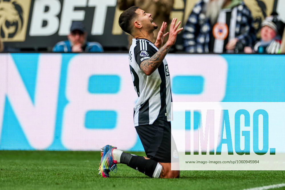 Premier League Newcastle United v Manchester United, ManU Bruno Guimaraes of Newcastle United celebrates his goal with teammates to make it 4-1 during the Premier League match Newcastle United vs Manchester United at St. James s Park, Newcastle, United Kingdom, 13th April 2025 (Photo by Mark Cosgrove News Images) Newcastle St. James s Park Tyne and Wear United Kingdom