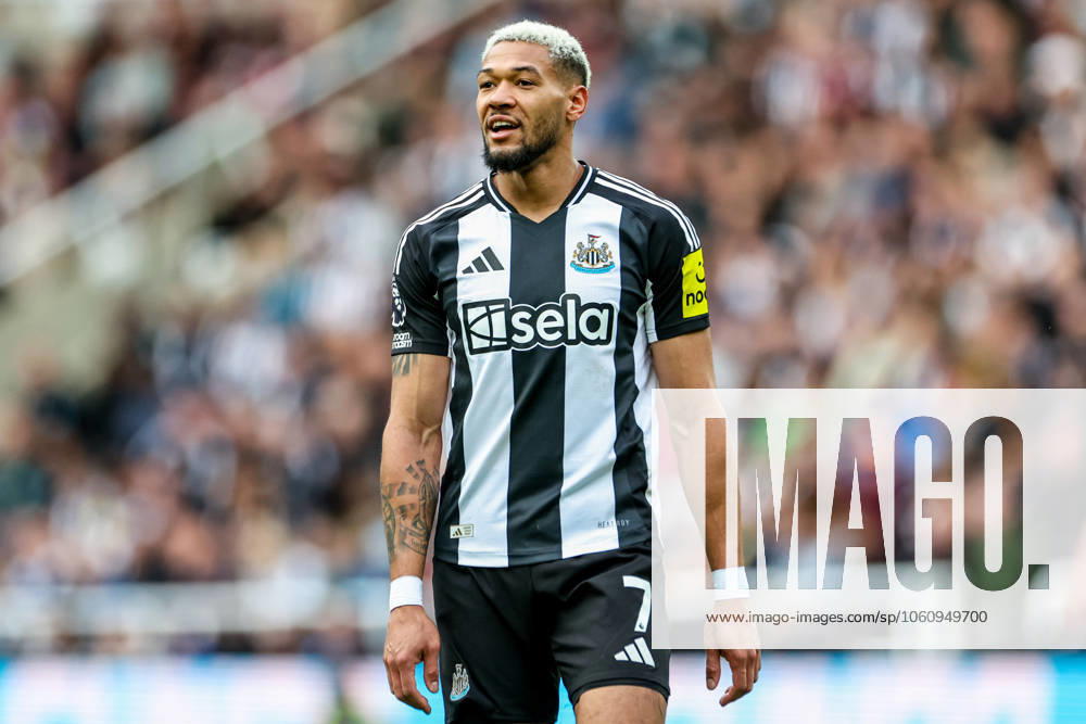Premier League Newcastle United v Manchester United, ManU Joelinton of Newcastle United reacts during the Premier League match Newcastle United vs Manchester United at St. James s Park, Newcastle, United Kingdom, 13th April 2025 (Photo by Mark Cosgrove News Images) Newcastle St. James s Park Tyne and Wear United Kingdom