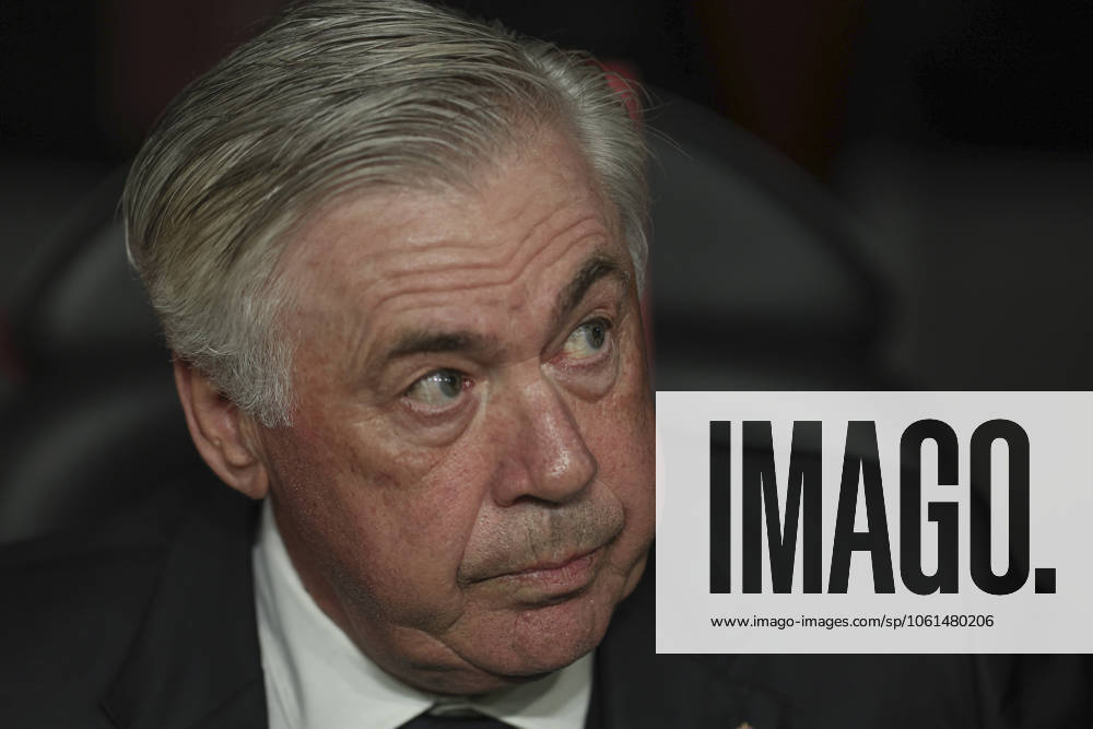 FC Barcelona, Barca Real Madrid CF. Copa del Rey. Final. Real Madrid head coach Carlo Ancelotti during the Copa del Rey match, Final, between FC Barcelona and Real Madrid CF played at La Cartuja Stadium on April 26, 2025 in Sevilla, Spain.