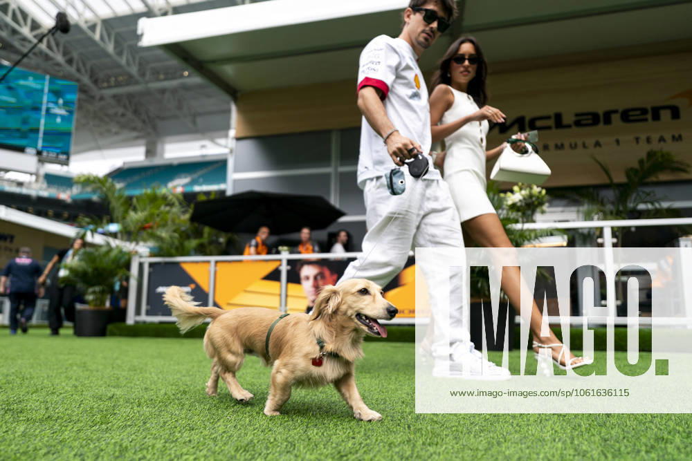 Monaco s Formula One driver Charles Leclerc of Scuderia Ferrari and Alexandra Saint Mleux accompanied by Leclerc s dog Leo arrive during the Formula One Miami Grand Prix at the Miami International Autodrome in Miami Gardens, Florida on Saturday, May 3, 2025. MIA2025050309 GREGxNASH