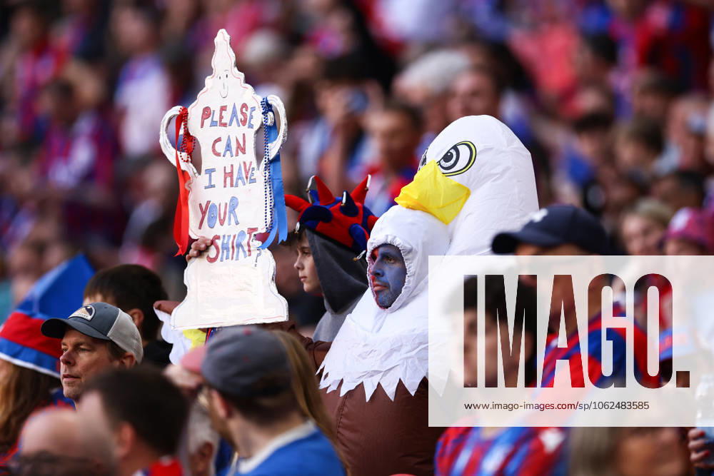 Crystal Palace gegen Manchester City 17. Mai 2025, London FA Cup Finale Crystal Palace gegen Manchester City Ein als Adler verkleideter Palace-Fan Foto Jacques Feeney Offside London UK