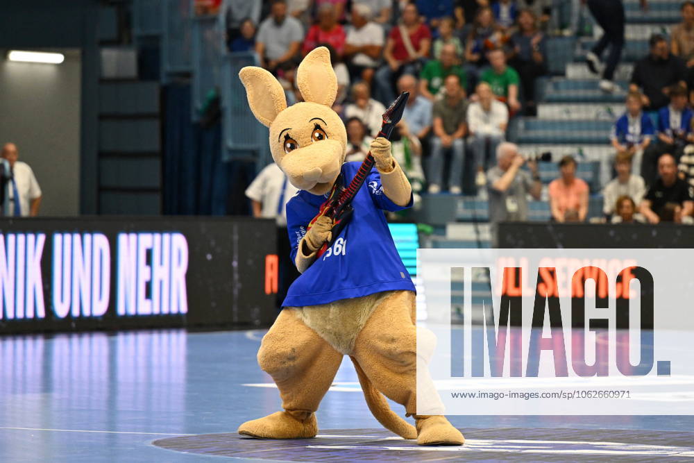 VfL mascot Gummi rocks with the air guitar VfL Gummersbach vs SC DHfK Leipzig, Handball, Daikin 1 Bundesliga, Matchday 32, Season 2024 2025, Schwalbe Arena Gummersbach, 31 05 2025 VfL Gummersbach vs SC DHfK Leipzig, Handball, Daikin 1 Bundesliga, Matchday 32, Season 2024 2025, Schwalbe Arena Gummersbach, 31 05 2025 Gummersbach