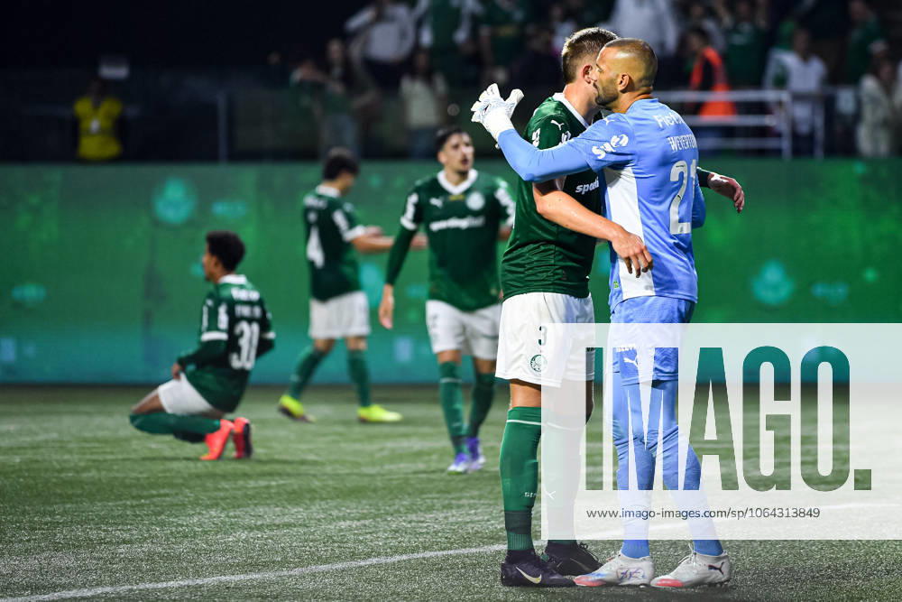 Palmeiras x Atlético MG SaO PAULO, SP - 20.07.2025: PALMEIRAS X ATLéTICO MG - Palmeiras players celebrate victory in the match between Palmeiras x Atlético MG, valid for the fifteenth round of the 2025 Brazilian Football Championship, this Sunday, (20) at Allianz Parque, SP. (Photo: Roberto Casimiro Fotoarena) x2773747x RobertoxCasimiro