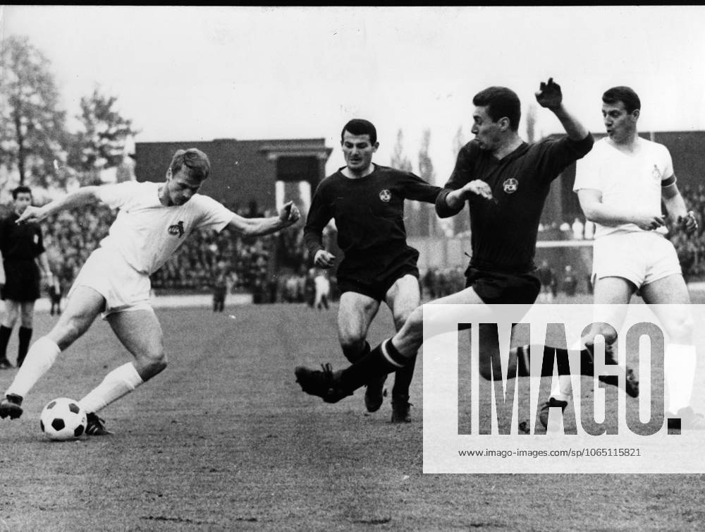 Football Bundesliga 1 FC Cologne 1 FC Nuernberg 0 0 u B Z Ferdinand Wenauers 2 v r Nuernberg Defensive action , to spaet Karl Heinz Thielen left Cologne plays the Ball Hans Schaefer right Cologne to 2 v l Ludwig Mueller Nuernberg 08 05 1965 in Cologne Muengersdorfer Stadium Germany