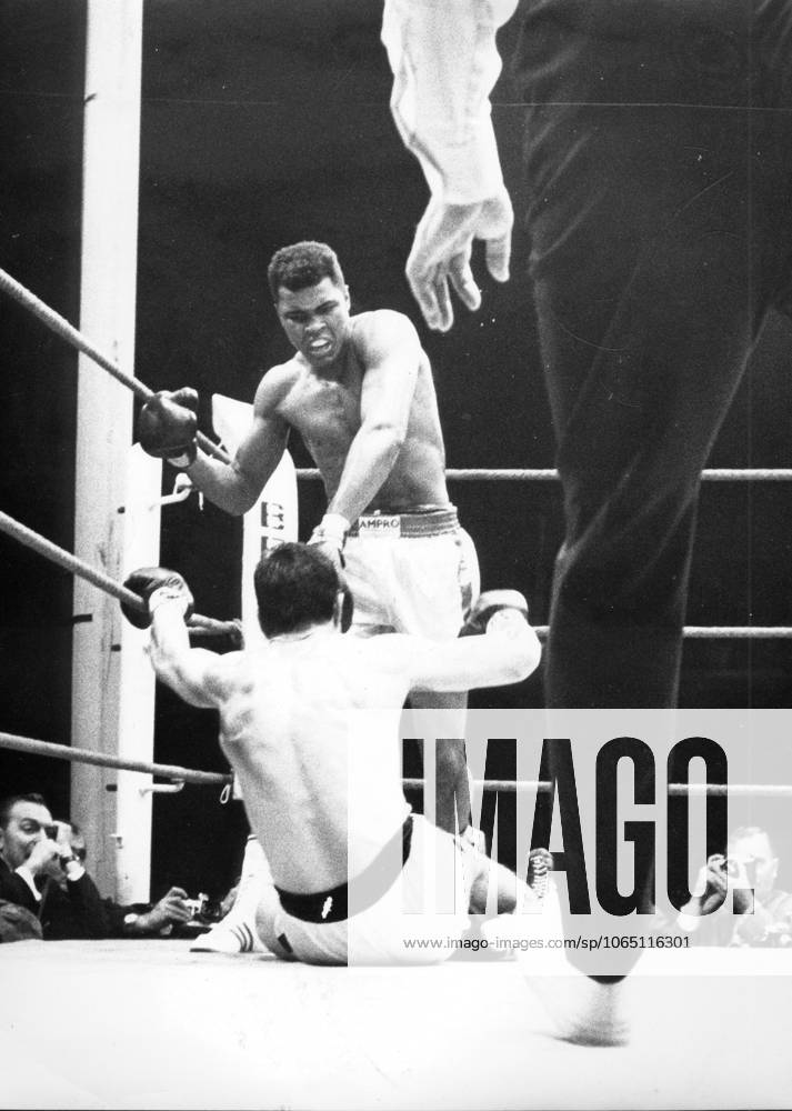 Boxing u B Z Fight Cassius Clay Muhammed Ali USA against Karl Mildenberger at Bottom Germany , Heavy weight 10 09 1966 in Frankfurt Waldstadion Germany