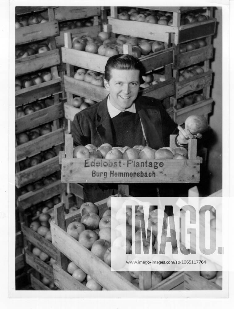 Motor aviation Formula 1 u B Z Wolfgang Graf Berghe from Trips Germany on the paternal Fruit orchard, here in Fruit storage 13 01 1959 on the Burg Hemmersbach in Horrem at Cologne Germany