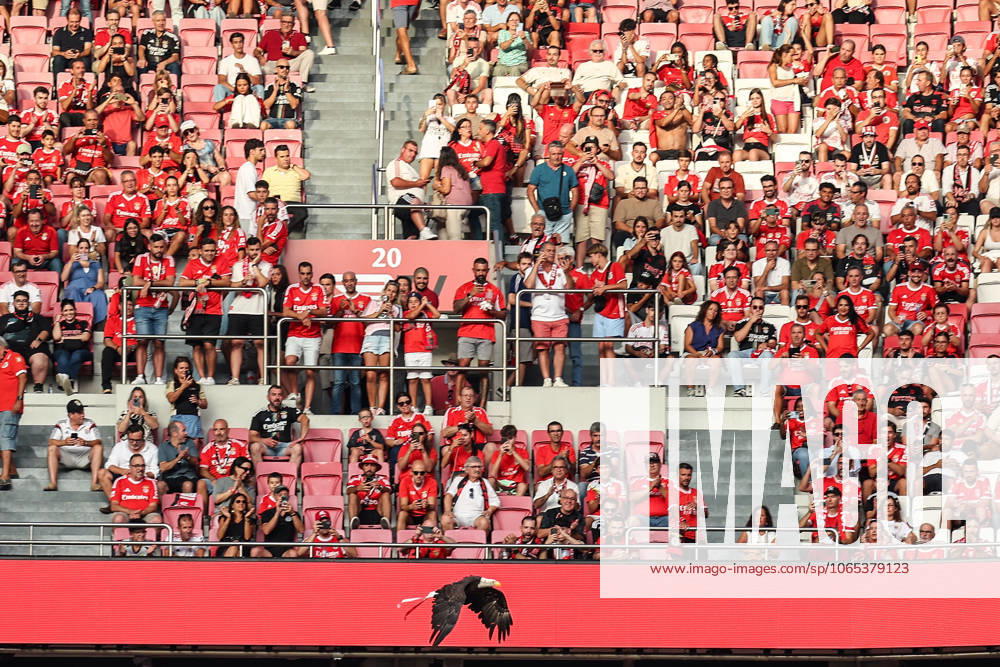 Portugal, Lisbon 2025 08 12 Second leg Third qualifying round Uefa Champions League 2025 26 , S L Benfica OGC Nice v l , Eagle Ãguia Vitoria the Benfica Lisbon mascot flies in the stadium, the fans in the background