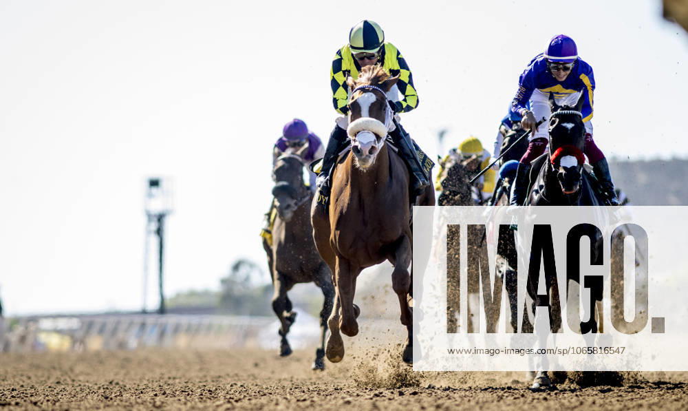 Om N Joy (6) (outside) ridden by Kent Desormeaux wins the Torrey Pines Stakes (Grade 3) at Del Mar Thoroughbred Club in Del Mar, California on August 30, 2025. Eclipse Sportswire CSM Del Mar USA - ZUMAcs17 20250830_faf_cs17_016