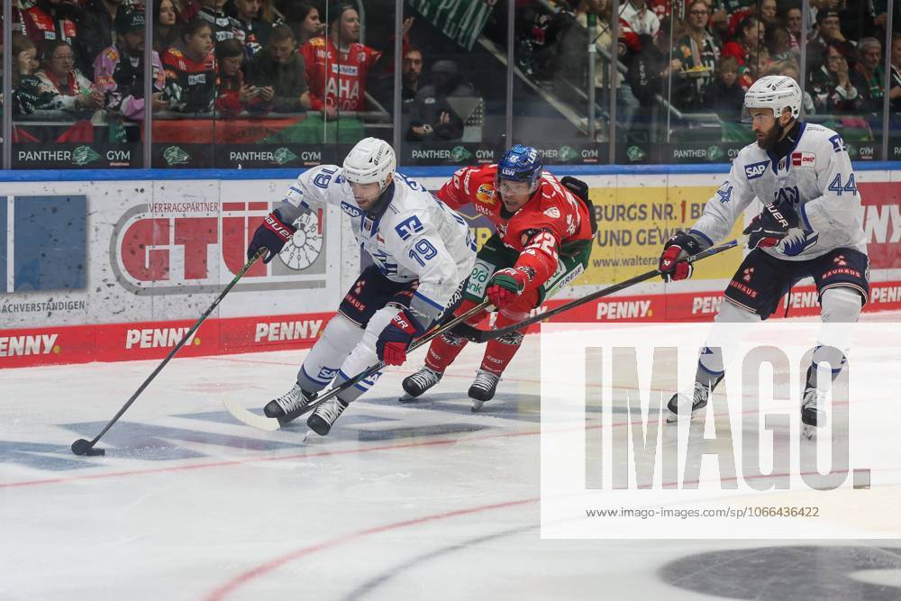 In duel, action, with Luke Esposito 19 Adler Mannheim , Madison Bowey 22 Augsburger Panther , Anthony Greco 44 Adler Mannheim , Augsburger Panther vs. Adler Mannheim, 2 Matchday, Ice Hockey, Penny DEL, 14 09 2025 Augsburg Bayern Germany