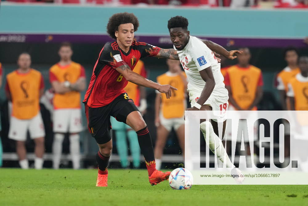Belgium v Canada: Group F - FIFA World Cup, WM, Weltmeisterschaft, Fussball Qatar 2022 AL-RAYYAN, QATAR - NOVEMBER 23: Axel Witsel (L) of Belgium in action against Alphonso Davies of Canada during the Qatar 2022 World Cup Group F football match between Belgium and Canada at the Ahmad Bin Ali Stadium in Al-Rayyan, west of Doha on November 23, 2022. Ar Rayyan Qatar. Editorial use only. Please get in touch for any other usage.