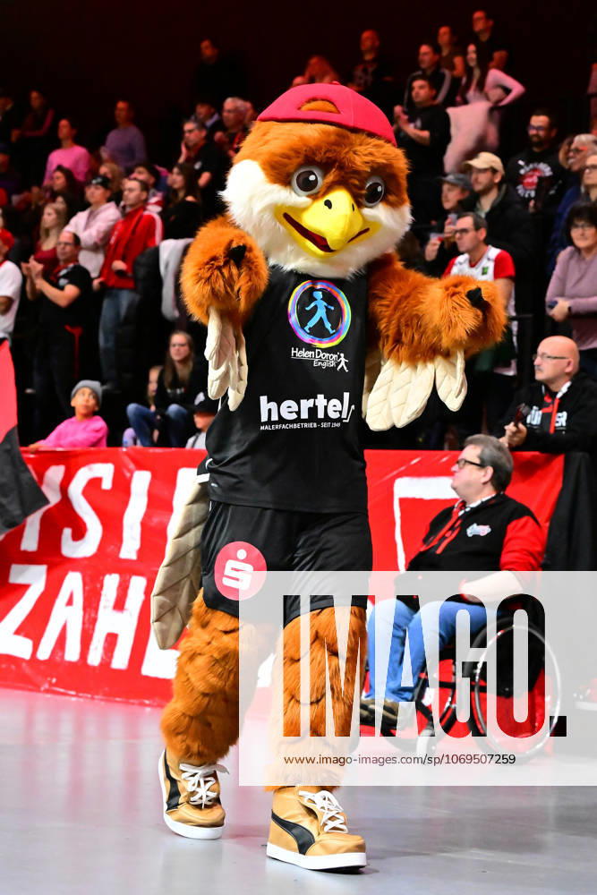 Basketball Season 2025 2026 2 Bundesliga Pro A 10 Matchday Nuremberg Falcons Basketball Club NBC BBC Bayreuth AlSch Mascot Nuremberg Falcons BC NBC