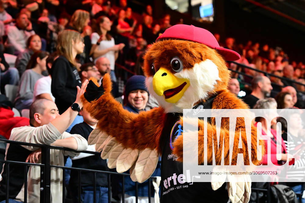 Basketball Season 2025 2026 2 Bundesliga Pro A 10 Matchday Nuremberg Falcons Basketball Club NBC BBC Bayreuth AlSch Mascot Nuremberg Falcons BC NBC