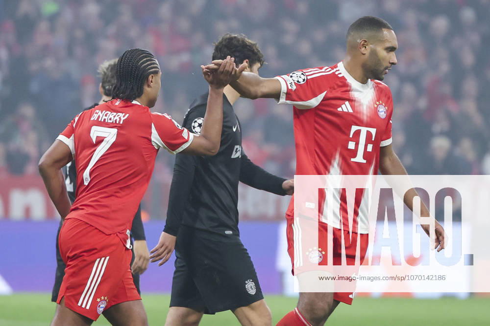 Serge Gnabry FC Bayern Muenchen celebrates after scoring his teams first goal with Jonathan Tah FC Bayern Muenchen , UEFA Champions League 2025 26 League Phase MD6, FC Bayern München v Sporting Clube de Portugal, Football Arena Munich on December 09, 2025 in Munich, Germany Photo by Marco Steinbrenner DeFodi Images Serge Gnabry FC Bayern Muenchen celebrates after scoring his teams first goal with Jonathan Tah FC Bayern Muenchen , UEFA Champions League 2025 26 League Phase MD6, FC Bayern München v Sporting Clube de Portugal, Football Arena Munich, December 9, 2025 in Munich, Germany Photo by Marco Steinbrenner DeFodi Images