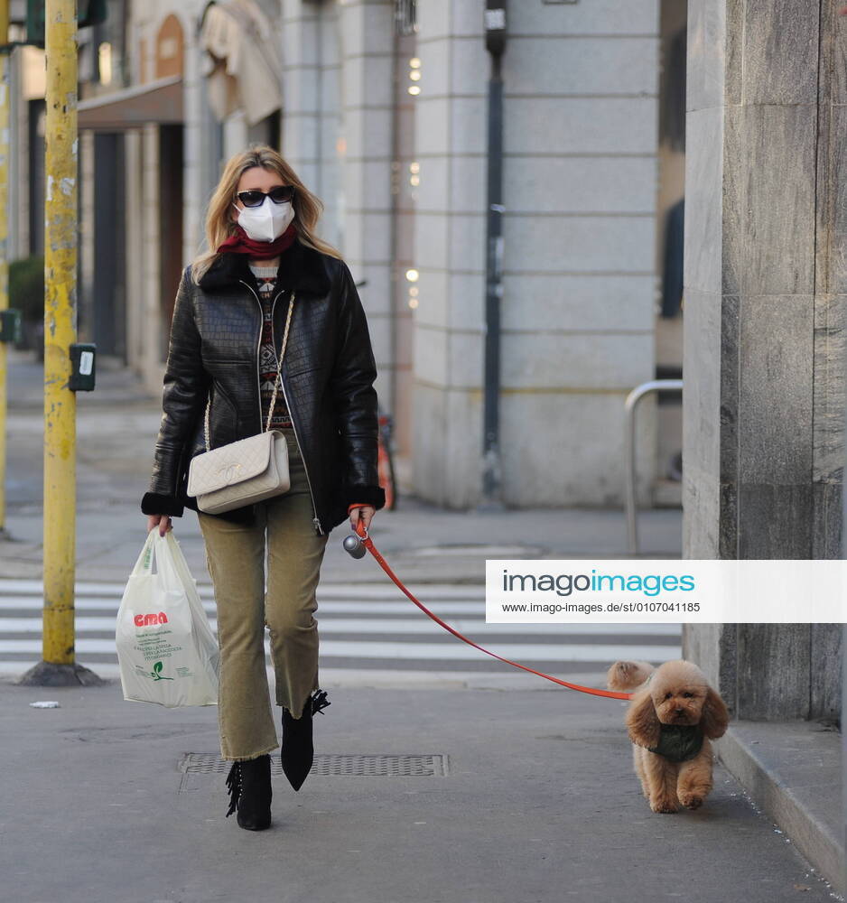 Milan, Elena Barolo for a walk with her toy dog Wisky Elena Barolo walks through the streets of the center with her inseparable little dog, a toy called Wisky. Before returning home a stop at the pharmacy.