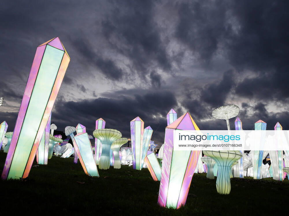 Revelers walk the grounds of LuminoCity Festival, the stunning holiday spectacular of light sculptures, at sunset on opening night on Randall s Island Park in New York City on Friday, November 27, 2020. This year, the festival will present a brand new theme and never-before-seen art installations on view for 29 nights. NYP20201127146 JOHNxANGELILLO