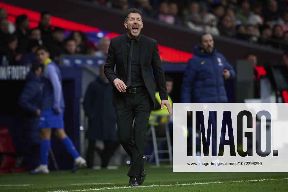 ATLETICO DE MADRID v REAL BETIS BALOMPIE. LA LIGA 2025 2026. ROUND 23. Atletico de Madrid s coach Diego Pablo Cholo Simeone during La Liga match. February 08 ,2026. (ALTERPHOTOS Ropero) MadridSpain