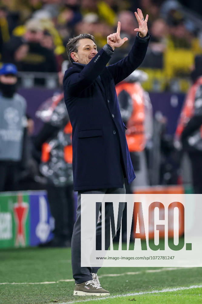 Football, UEFA Champions League, Borussia Dortmund Atalanta Bergamo, BVB Stadion, Play Offs first leg, Season 2025 2026 Head coach Niko Kovac BVB hc wildly gesticulating on the sidelines Regulations prohibit any use of photographs as image sequences and or quasi video North Rhine-Westphalia Germany