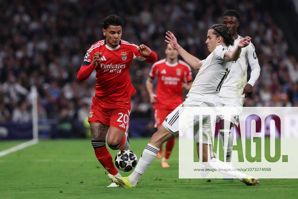 Madrid, Spain February 25, 2026 FBL UEFA Champions League 2025 26 Real Madrid SL Benfica Richard Rios S L Benfica , Alvaro Carreras Real Madrid battles for the Ball during the UEFA Champions League 2025 26 knockout play offs match between Real Madrid and SL Benfica at the Santiago BernabÃ u Stadium on February 25, 2026 in Madrid, Spain