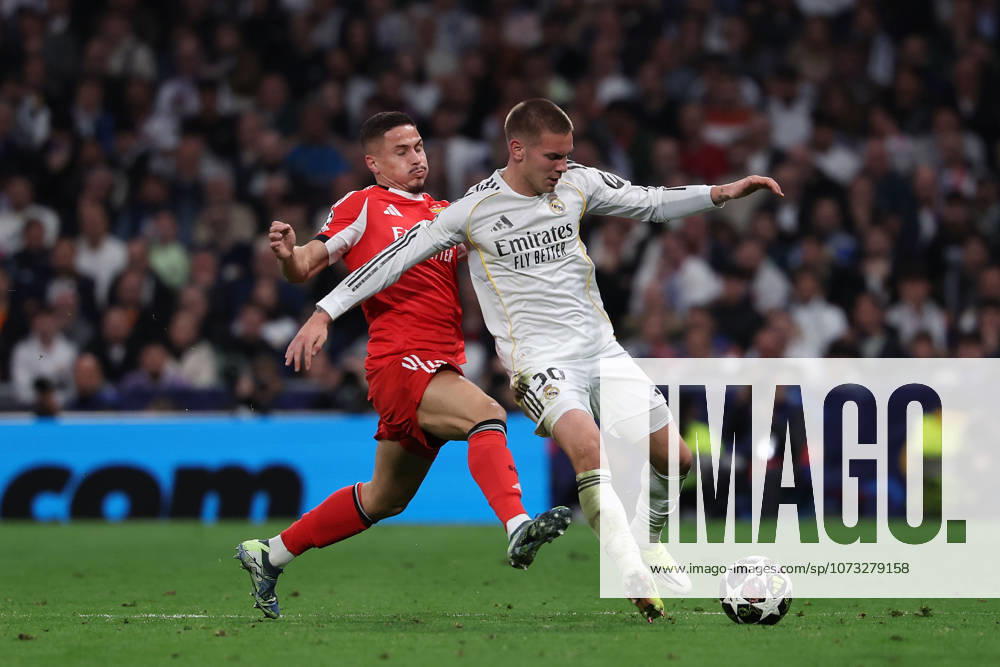 Madrid, Spain February 25, 2026 FBL UEFA Champions League 2025 26 Real Madrid SL Benfica Franjo Ivanovic S L Benfica , Franco Mastantuono Real Madrid battles for the Ball during the UEFA Champions League 2025 26 knockout play offs match between Real Madrid and SL Benfica at the Santiago Bernabà u Stadium on February 25, 2026 in Madrid, Spain