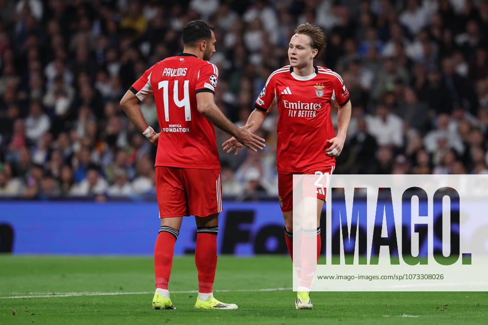 Madrid, Spain February 25, 2026 FBL UEFA Champions League 2025 26 Real Madrid SL Benfica Vangelis Pavlidis S L Benfica , Andreas Schjelderup S L Benfica high five during the UEFA Champions League 2025 26 knockout play offs match between Real Madrid and SL Benfica at the Santiago Bernabà u Stadium on February 25, 2026 in Madrid, Spain