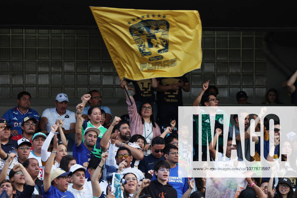A Pumas fan waves the Pumas flag during the final second leg match between Pumas UNAM and Cruz Azul as part of the Liga MX Torneo Clausura 2026 at Estadio Olimpico Universitario. on May 24, 2026 in Mexico City, Mexico. Mexico City Mexico - ZUMAe321 20260524_zsa_e321_017