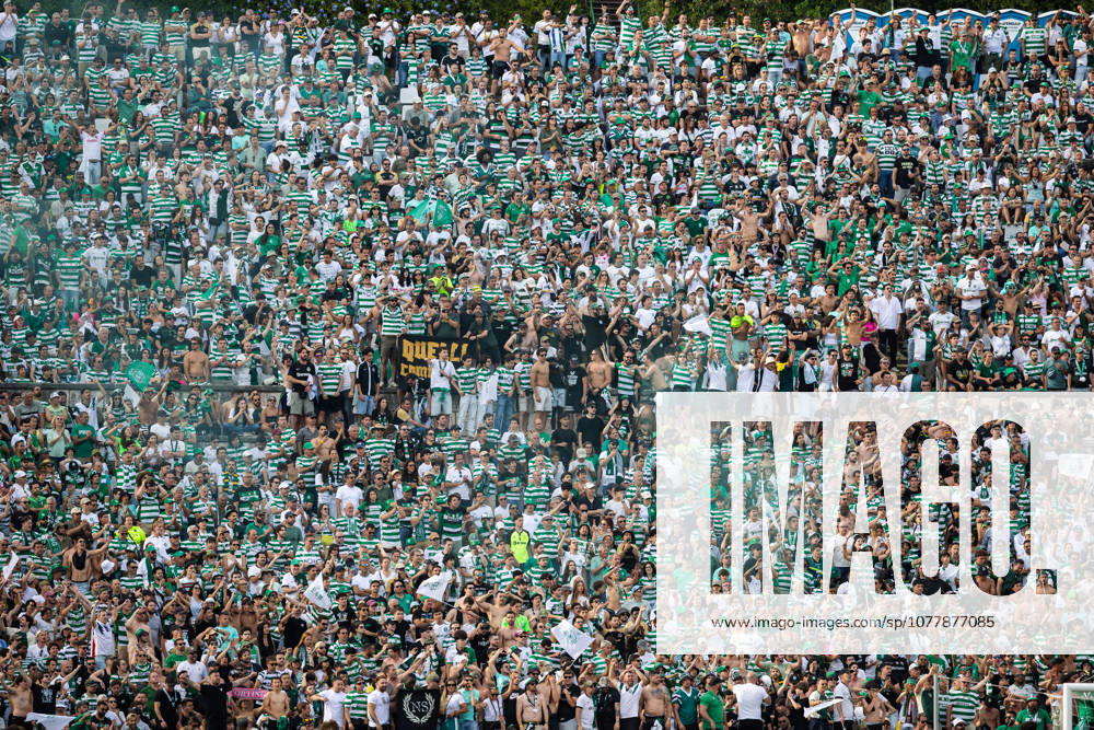 Sporting CP vs SCU Torreense in Oeiras - 24 May 2026 Sporting CP fans seen during the Portuguese Cup 2025 2026 - Final match between Sporting CP and SCU Torreence at Estadio Nacional. (Final score: Sporting CP 1 - 2 SCU Torreense) Oeiras Portugal