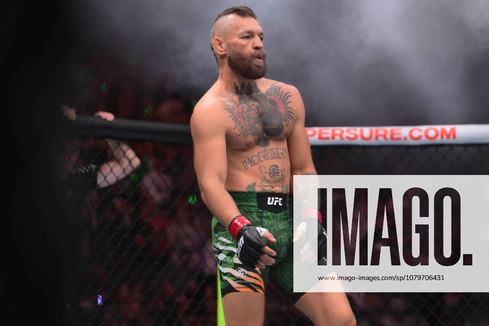 CONOR MCGREGOR poses before the fight start during UFC 329 at the T-Mobile Arena in Las Vegas. UFC 329: Max Holloway Defeated Conor McGregor By TKO - ZUMAo117 20260711_zsp_o117_079